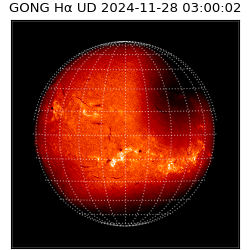 gong - 2024-11-28T03:00:02