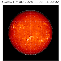 gong - 2024-11-28T04:00:02