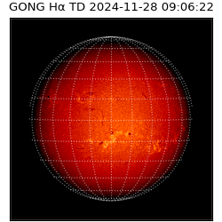 gong - 2024-11-28T09:06:22