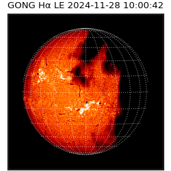 gong - 2024-11-28T10:00:42