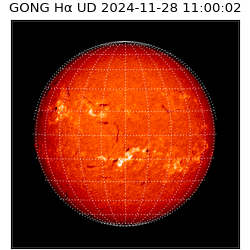 gong - 2024-11-28T11:00:02