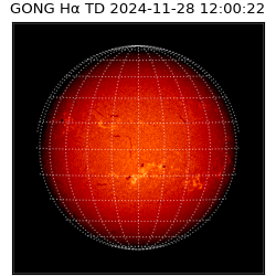 gong - 2024-11-28T12:00:22