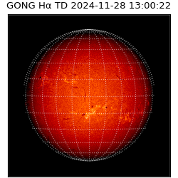 gong - 2024-11-28T13:00:22