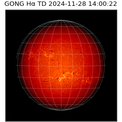 gong - 2024-11-28T14:00:22