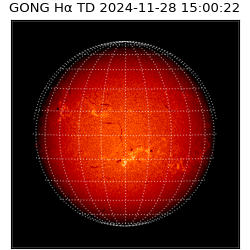 gong - 2024-11-28T15:00:22