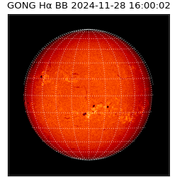 gong - 2024-11-28T16:00:02