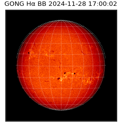 gong - 2024-11-28T17:00:02