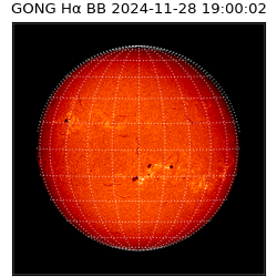 gong - 2024-11-28T19:00:02