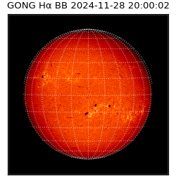 gong - 2024-11-28T20:00:02