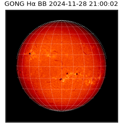 gong - 2024-11-28T21:00:02