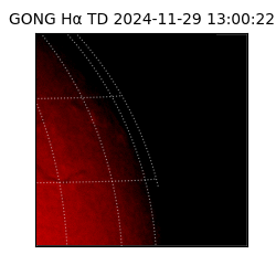 gong - 2024-11-29T13:00:22