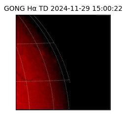 gong - 2024-11-29T15:00:22
