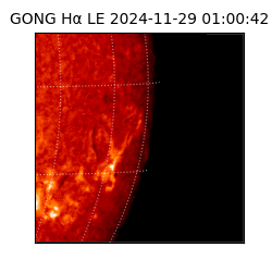 gong - 2024-11-29T01:00:42