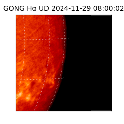 gong - 2024-11-29T08:00:02