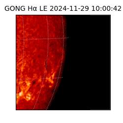 gong - 2024-11-29T10:00:42