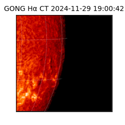 gong - 2024-11-29T19:00:42