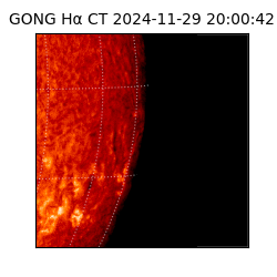 gong - 2024-11-29T20:00:42