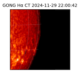 gong - 2024-11-29T22:00:42