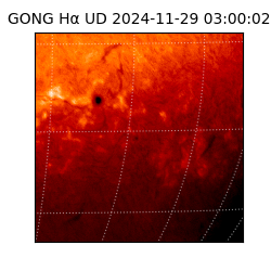 gong - 2024-11-29T03:00:02