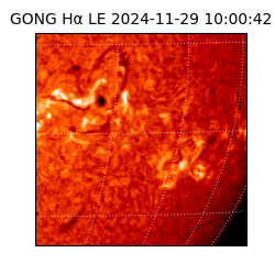 gong - 2024-11-29T10:00:42