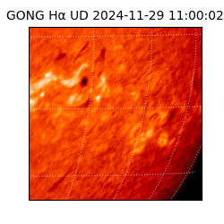 gong - 2024-11-29T11:00:02