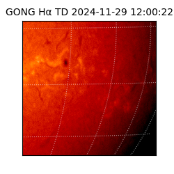 gong - 2024-11-29T12:00:22