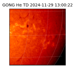 gong - 2024-11-29T13:00:22