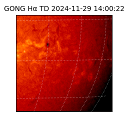 gong - 2024-11-29T14:00:22
