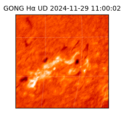 gong - 2024-11-29T11:00:02