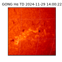 gong - 2024-11-29T14:00:22