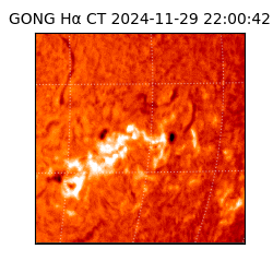 gong - 2024-11-29T22:00:42