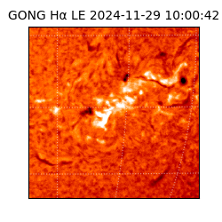 gong - 2024-11-29T10:00:42