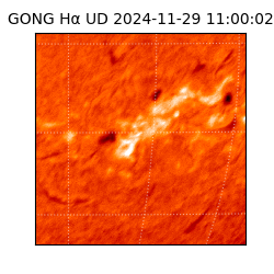 gong - 2024-11-29T11:00:02