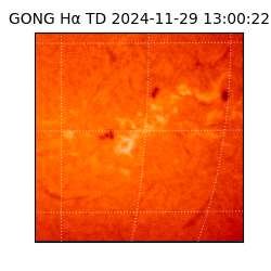 gong - 2024-11-29T13:00:22