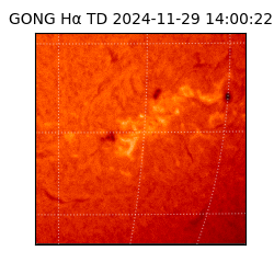 gong - 2024-11-29T14:00:22