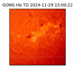 gong - 2024-11-29T15:00:22