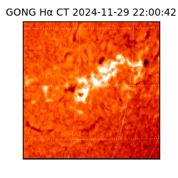 gong - 2024-11-29T22:00:42