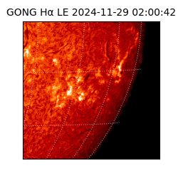 gong - 2024-11-29T02:00:42