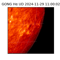 gong - 2024-11-29T11:00:02