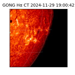 gong - 2024-11-29T19:00:42