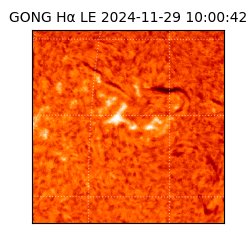 gong - 2024-11-29T10:00:42