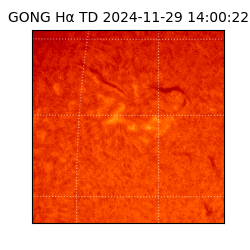 gong - 2024-11-29T14:00:22