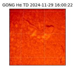 gong - 2024-11-29T16:00:22