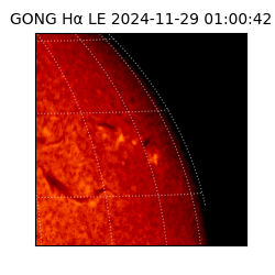 gong - 2024-11-29T01:00:42