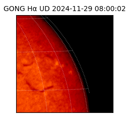 gong - 2024-11-29T08:00:02