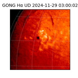 gong - 2024-11-29T03:00:02