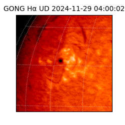 gong - 2024-11-29T04:00:02