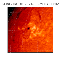 gong - 2024-11-29T07:00:02