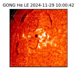 gong - 2024-11-29T10:00:42