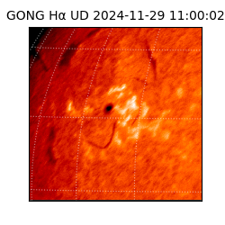 gong - 2024-11-29T11:00:02